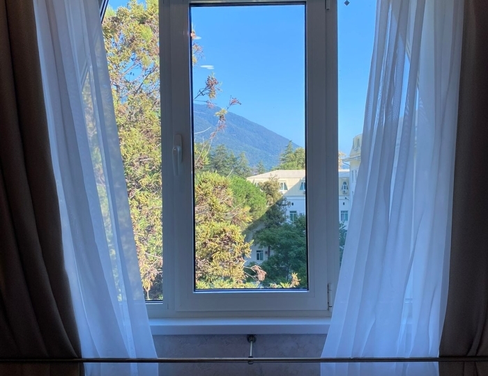 Стандарт 1-местный 1-комнатный б/б вид на парк - Парк-отель «Кавказ» Гагра